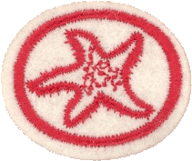 Invertebrados marinos